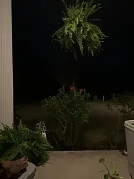 Countrypnp13 即時 XXX 聊天