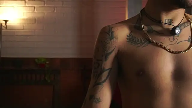 Show de webcam de AlphaMasterXxx