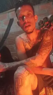 BenedettoMr69 웹캠 쇼