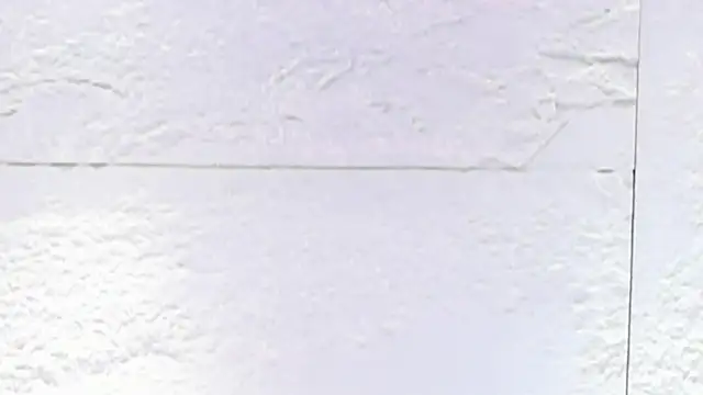 Chat +18 de sarah_salis_ ao vivo