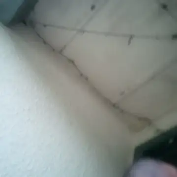 tainted95 ওয়েবক্যাম শো