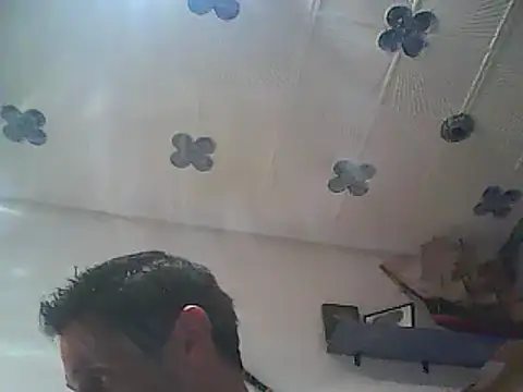 Fundy37 在線直播表演