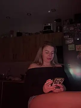 Lisorinen Webbikameraesitys