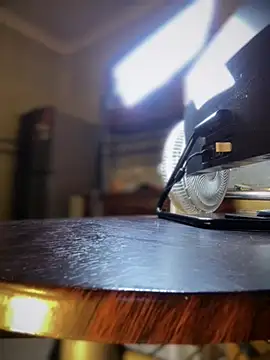 NovaFoxx's Webcam Show