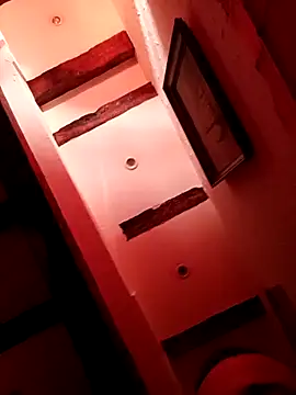 lej73 网络视讯表演