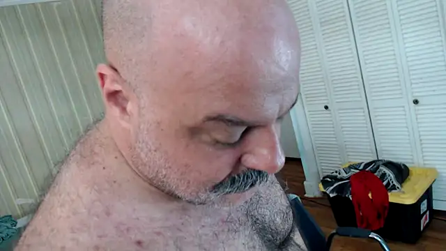 Pertunjukan Kamera Web bullmusclejoe