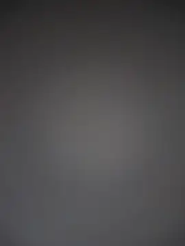 TheDime's Webcam Show