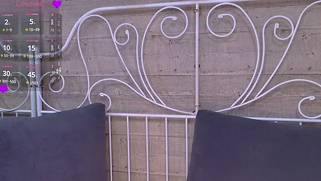 HeejinWangのウェブカメラショー