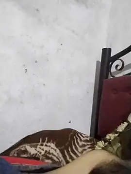 salimbasha Pertunjukan Webcam