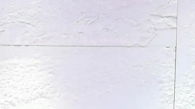 sarah_salis_ élő XXX-chatje