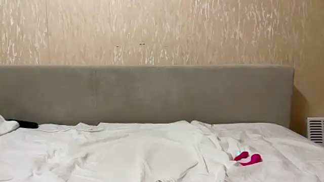 Show modela 40000usd na web-kameri