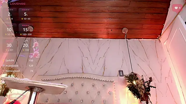 Show webcam de Rodd__y