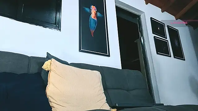 แชท XXX สดของ SilvaBranko