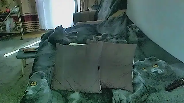 Chat XXX ao vivo de sex2