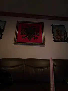 Show webcam de hailzeffn