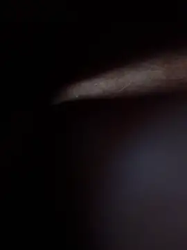 ratoncito_3 Webcam-Show