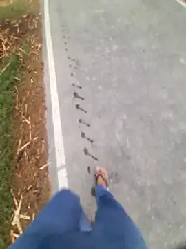 عرض كام volcanojatt00