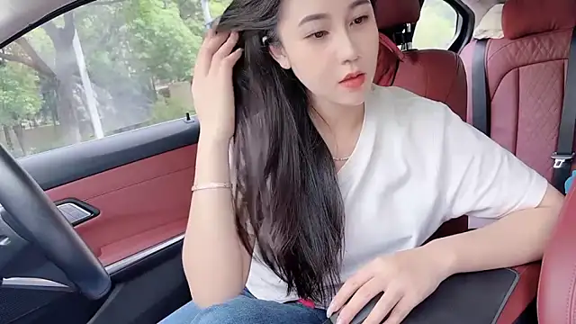 Show de webcam de newwell