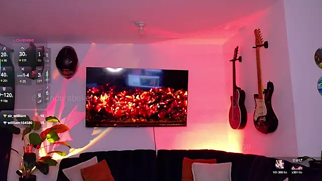 Show webcam de pandorabeker