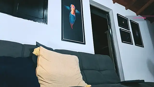 SilvaBranko: вебкам-шоу