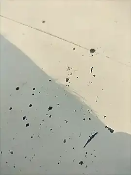 Pitercomのウェブカメラショー