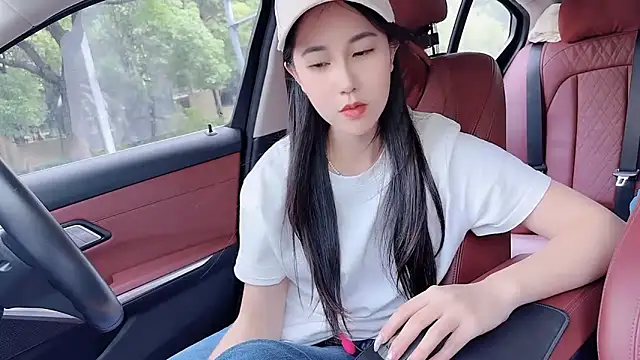 newwellのウェブカメラショー