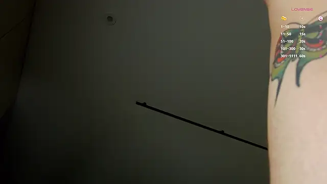 Tommy_cat – Kamerová šou