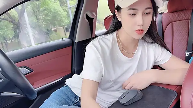 newwell Show in webcam