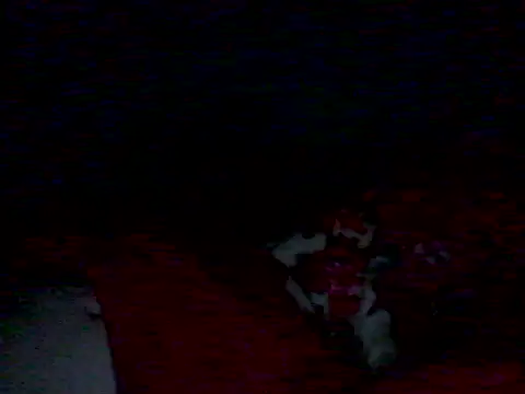 lickthehottien Live XXX chat