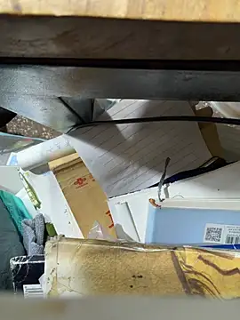 zhizhibaobei 网络视讯表演