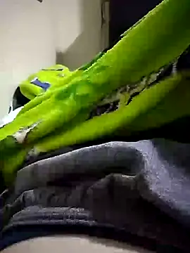 Show de webcam de Gallanttrox