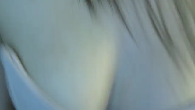 eva_sin18のライブXXXチャット