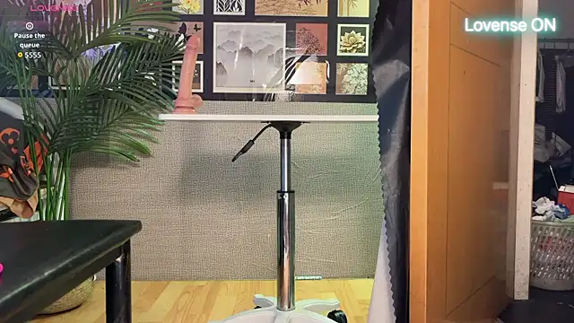 xiaosu22 Chat XXX in diretta