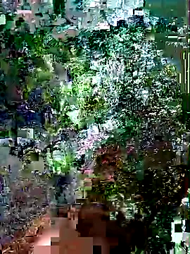 kaia-cam – Live XXX-chat