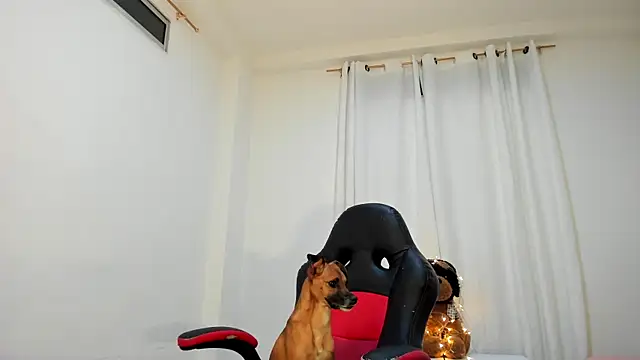 ana_maria___ 现场XXX聊天