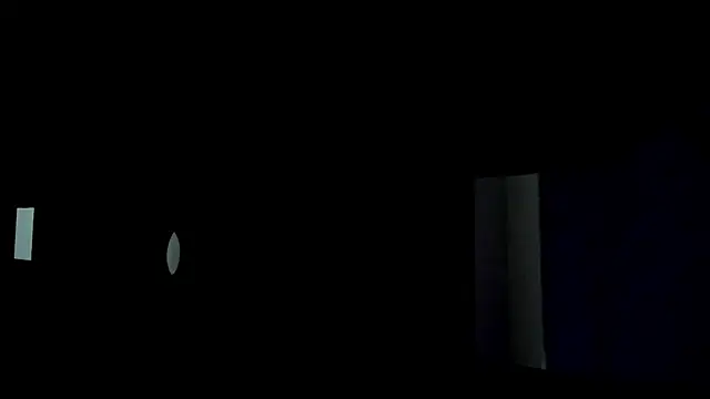 VincentSavage – Kamerová šou