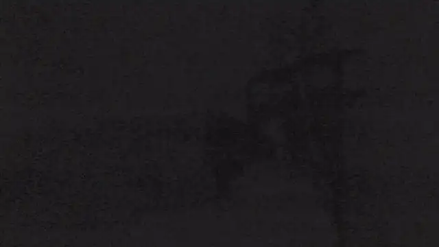 Chat +18 de sarahkat86 ao vivo