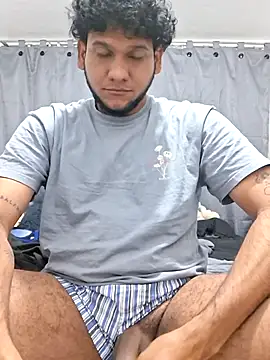 prototipoA45のウェブカメラショー