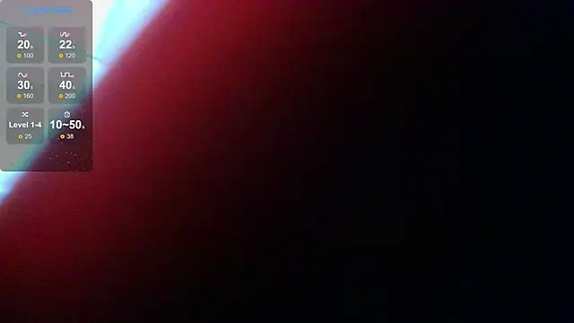 Show webcam de LeonBoykisser