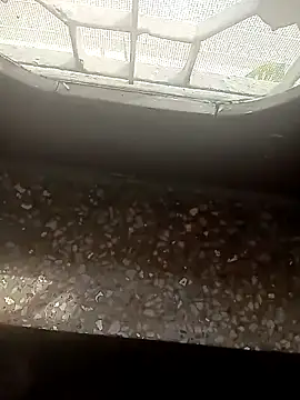 Rupkumarmaleforfun webkamerás műsora