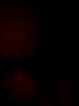 Amber_Rosee_ Pertunjukan Webcam