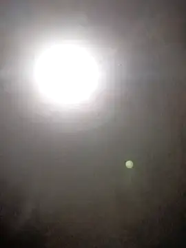 manuel1976 Show in webcam