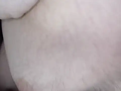 danypalmer – webcam-show