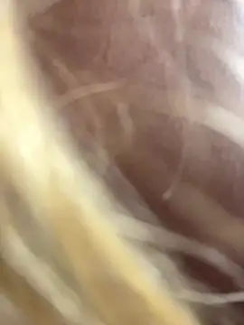 Chat +18 de privsloirinha ao vivo