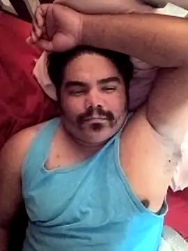 Show Webcam de Brickstash