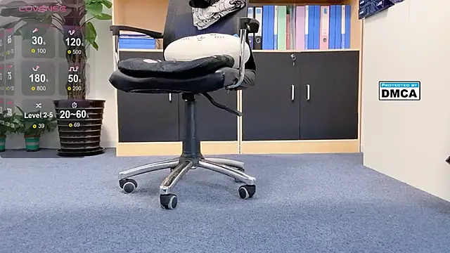 Shinjo-kun 웹캠 쇼