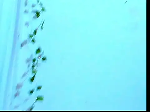 Antonella_Gomez22のライブXXXチャット