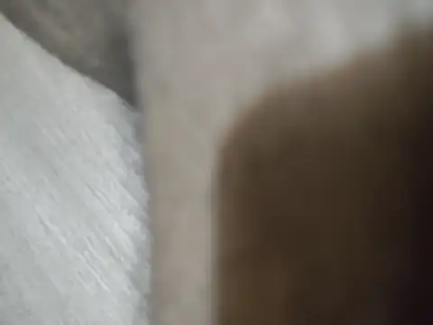 LeakingPinkMeat 웹캠 쇼