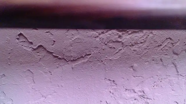 WooMe Adlı Modelin Canlı XXX Sohbeti