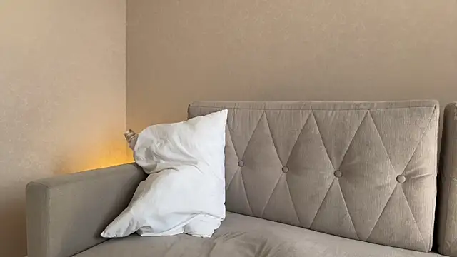 แชท XXX สดของ weshycouple